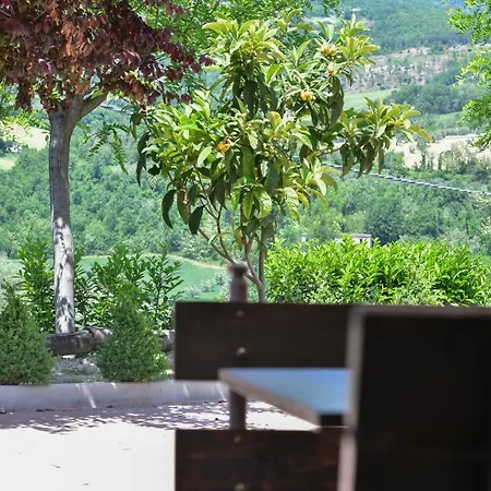 Passero