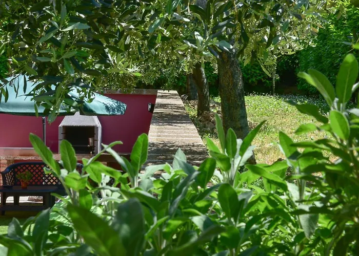 Passero Torricella Sicura