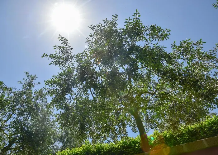 Alojamento de Acomodação e Pequeno-almoço Passero Torricella Sicura